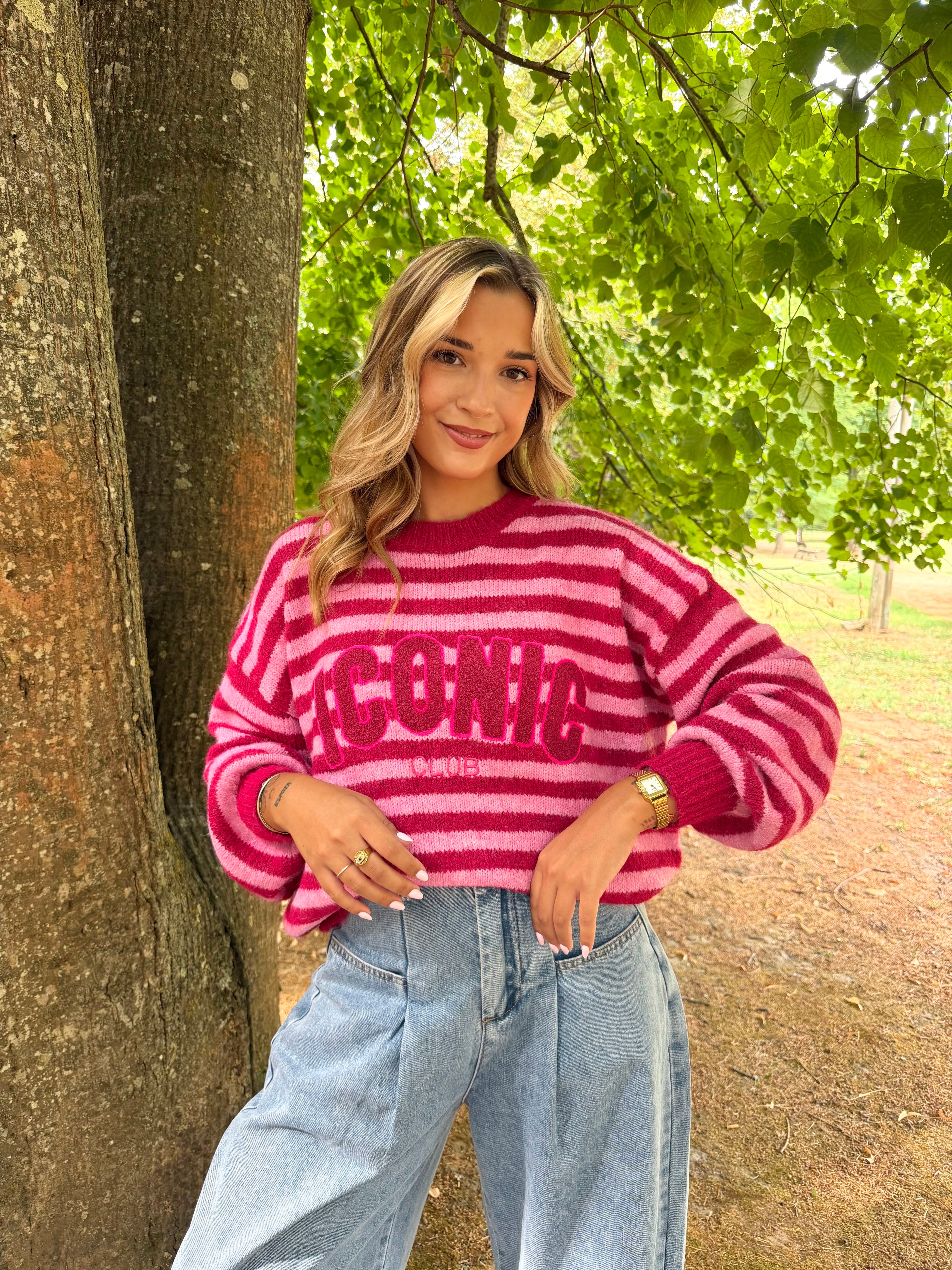 Pull ICONIC Rayé Fuschsia